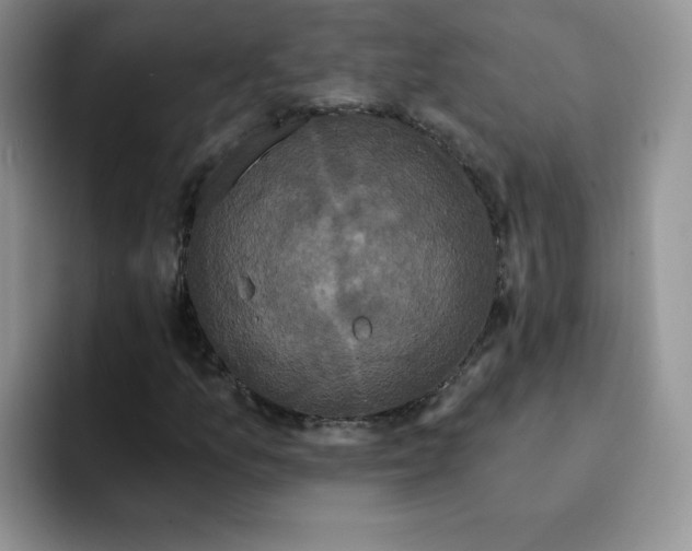 X0000091731157200709141220