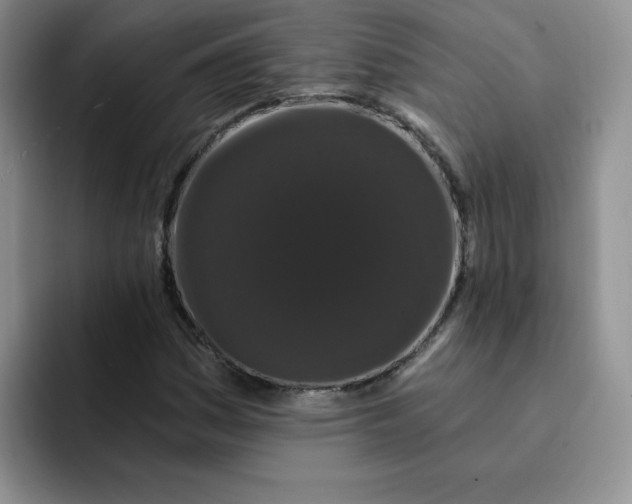 X0000091731161200709141220