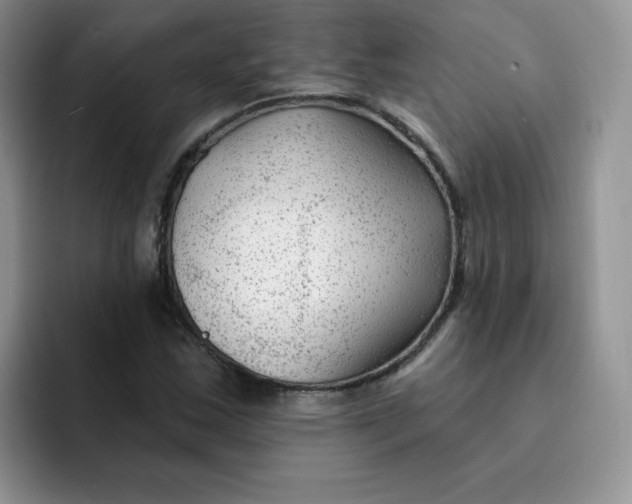 X0000091731163200709141220