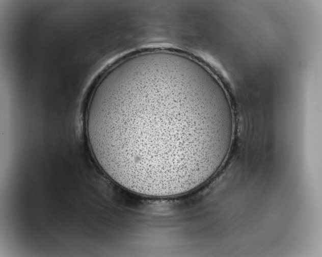 X0000091731167200709141219