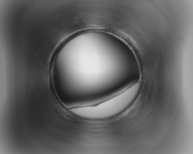 X0000091731168200709141219