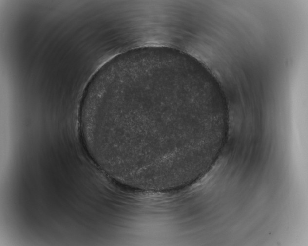 X0000091731170200709141219