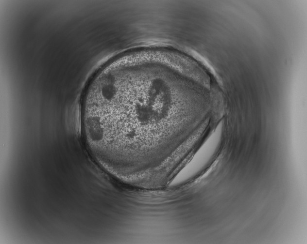 X0000091731171200709141219