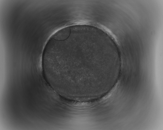 X0000091731174200709141219