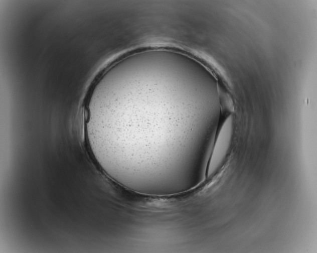 X0000091731175200709141219