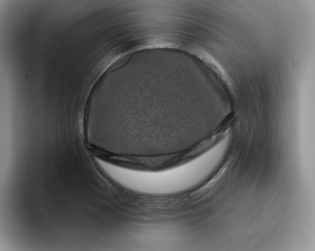 X0000091731177200709141219