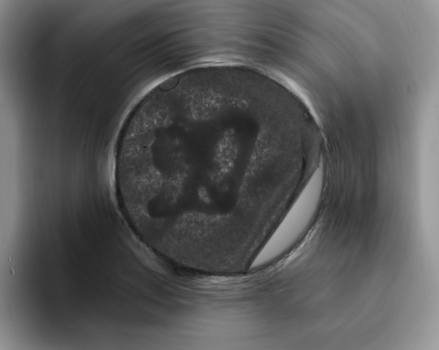 X0000091731179200709141219