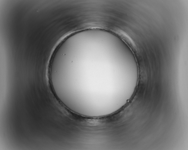 X0000091731182200709141219