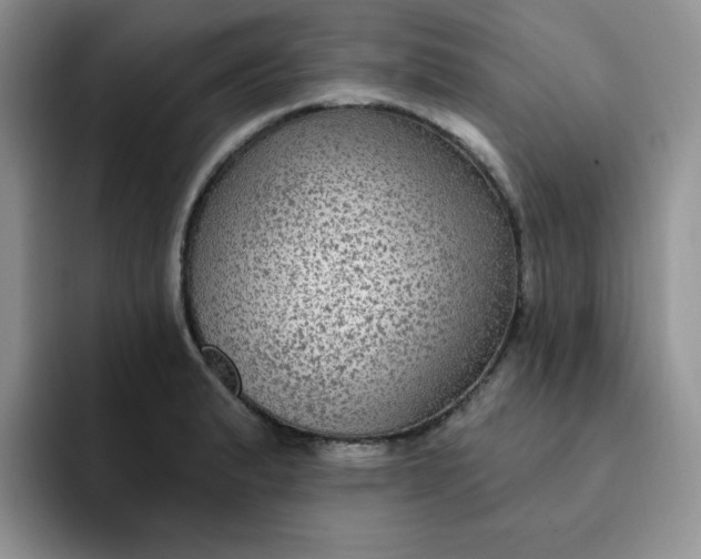 X0000091731183200709141219