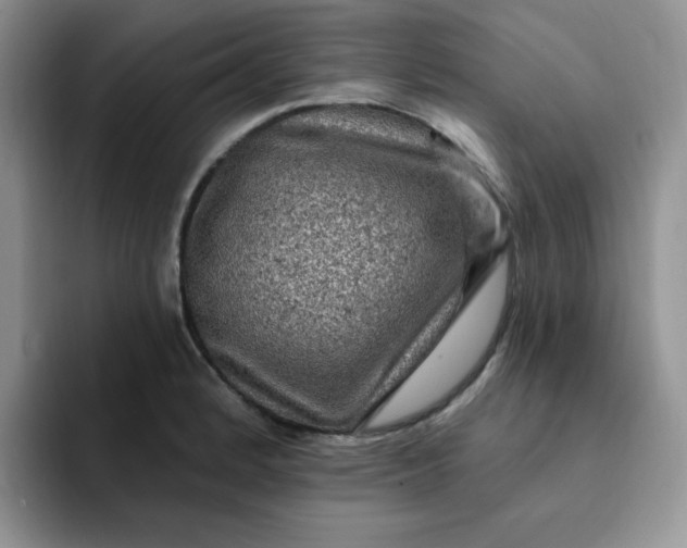 X0000091731184200709141219