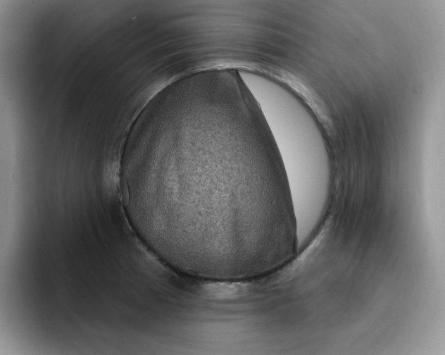 X0000091731185200709141219