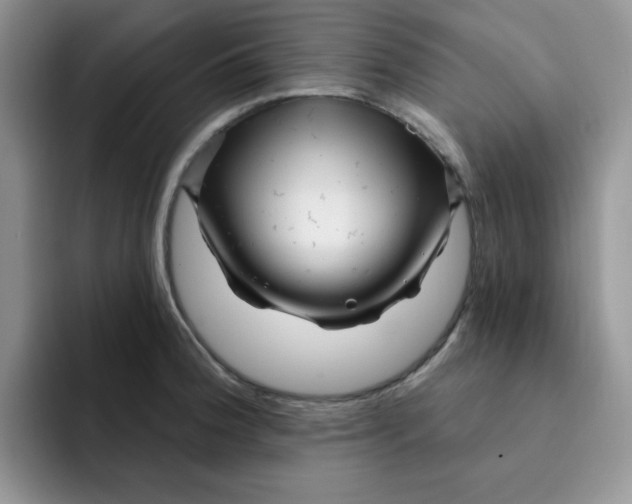 X0000091731188200709141219