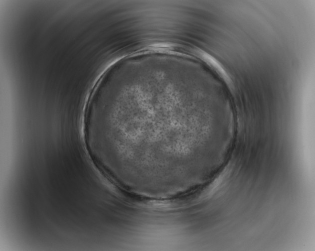 X0000091731194200709141219