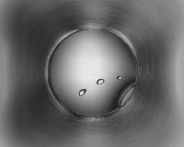 X0000091731195200709141219