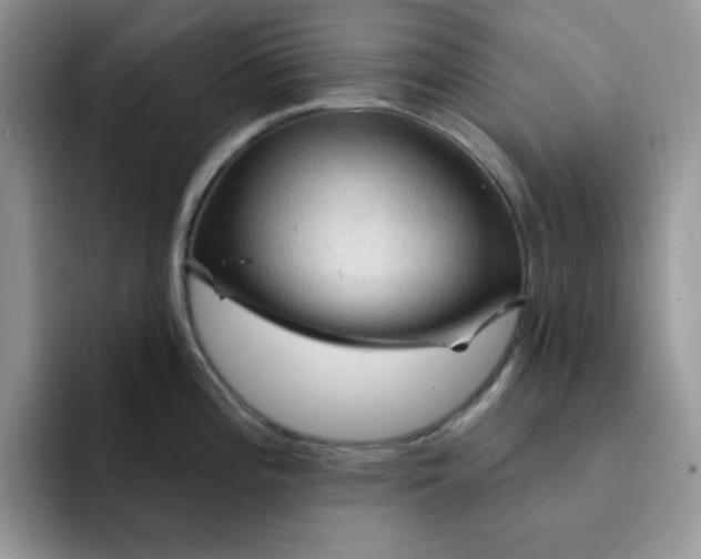 X0000091731196200709141219