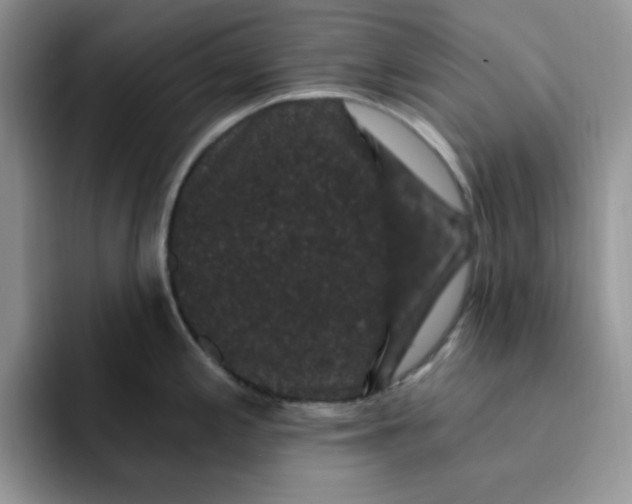 X0000091731197200709141219