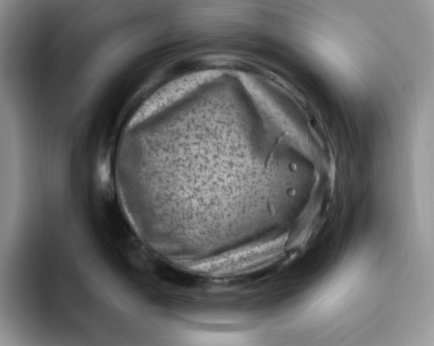 X0000091731198200709141219