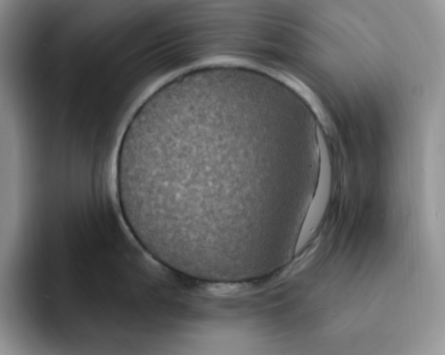 X0000091731199200709141219