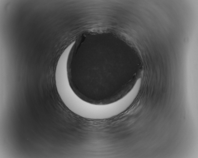 X0000091731202200709141218