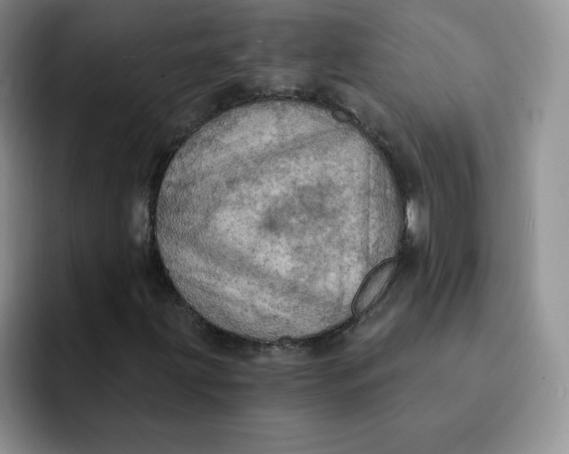 X0000091731203200709141218