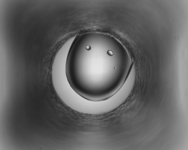 X0000091731206200709141218