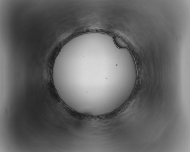 X0000091731207200709141219