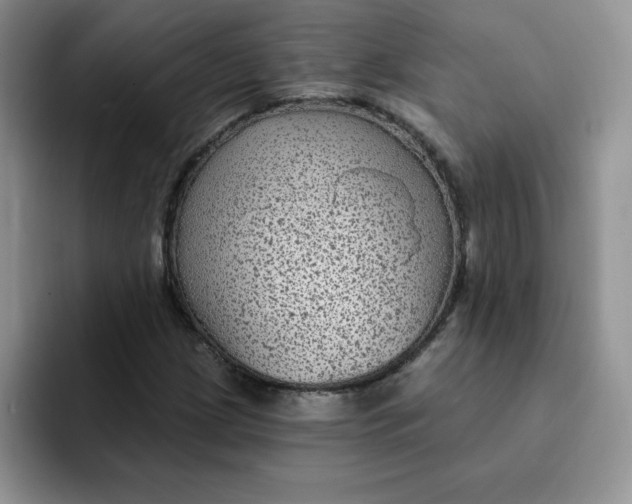 X0000091731209200709141219