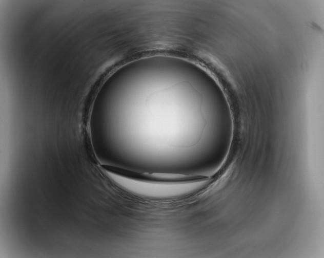 X0000091731210200709141219