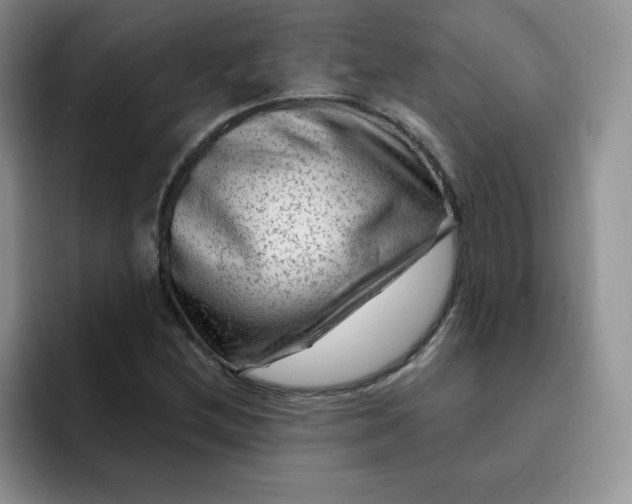 X0000091731212200709141219