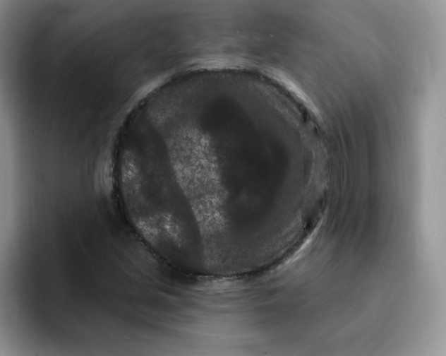 X0000091731213200709141219