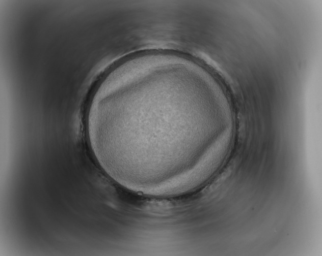 X0000091731215200709141219