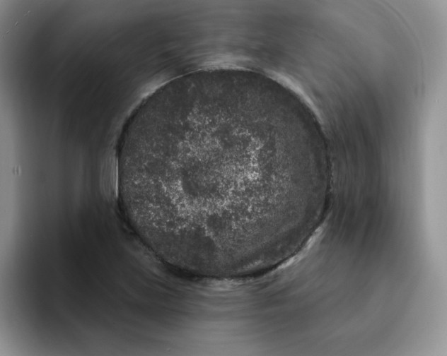 X0000091731219200709141219