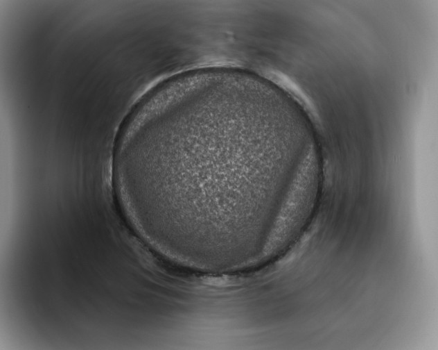 X0000091731220200709141219