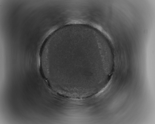 X0000091731221200709141219