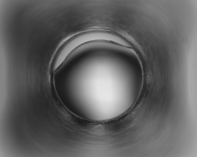 X0000091731222200709141219