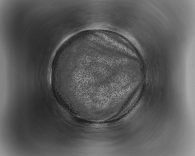 X0000091731224200709141219