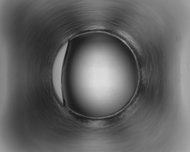 X0000091731225200709141219