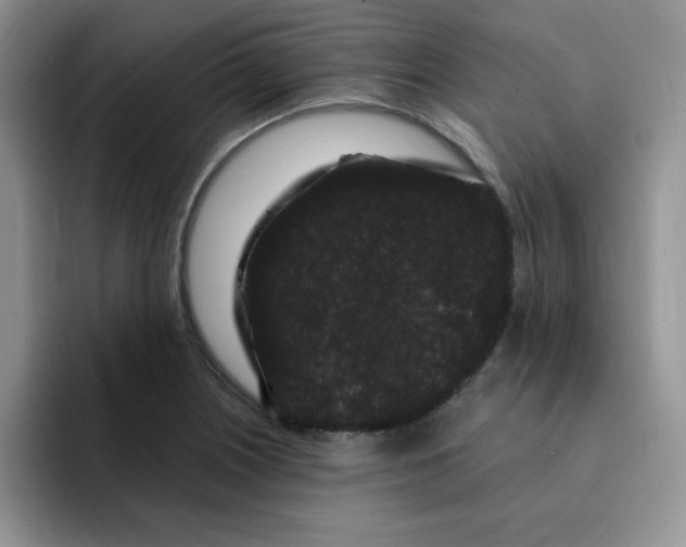 X0000091731226200709141219