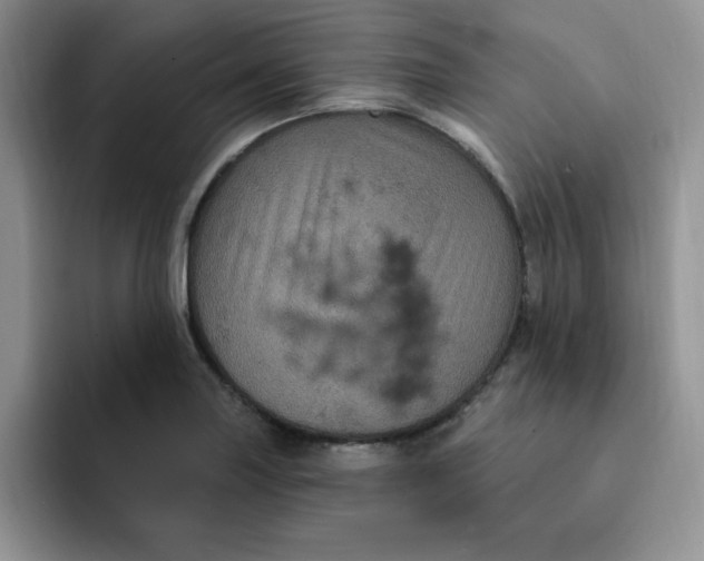 X0000091731227200709141219