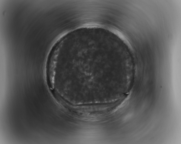 X0000091731229200709141219