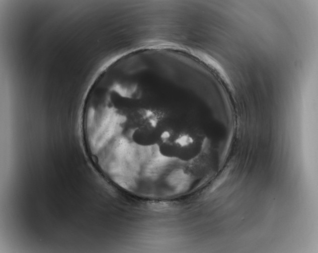 X0000091731231200709141219