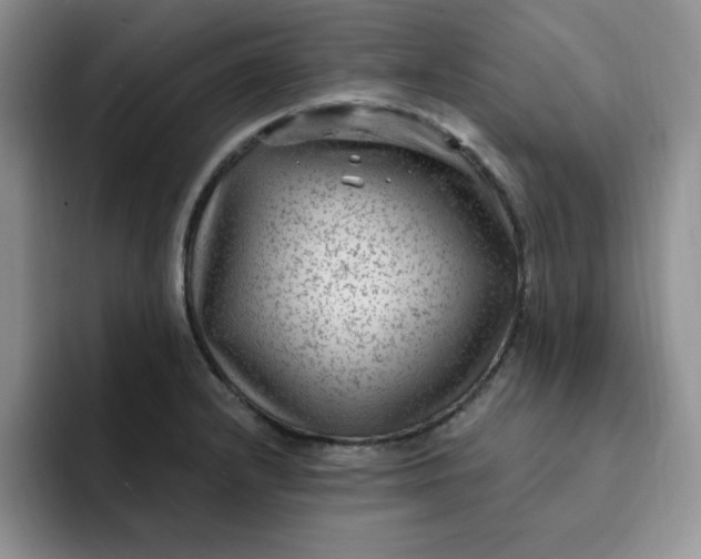 X0000091731232200709141219