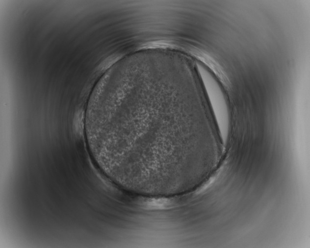 X0000091731233200709141219