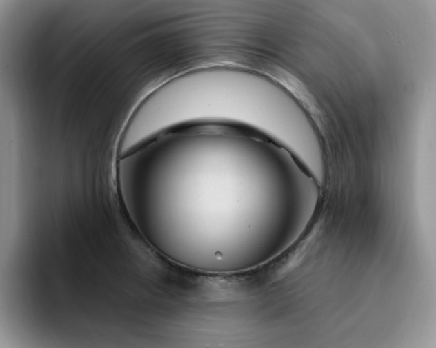 X0000091731234200709141219