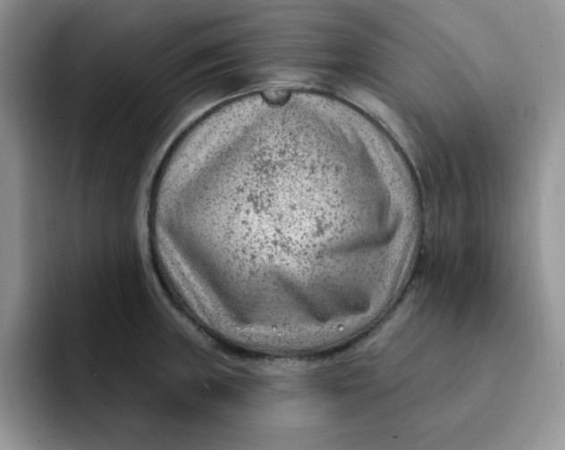 X0000091731235200709141219