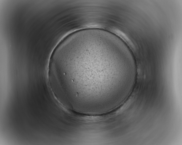 X0000091731236200709141219