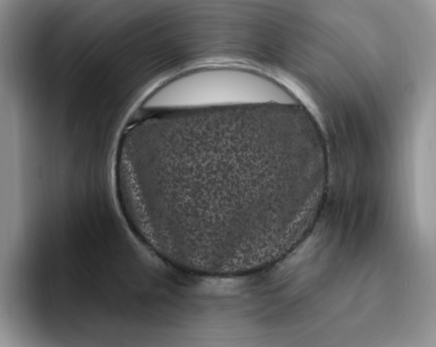 X0000091731237200709141219