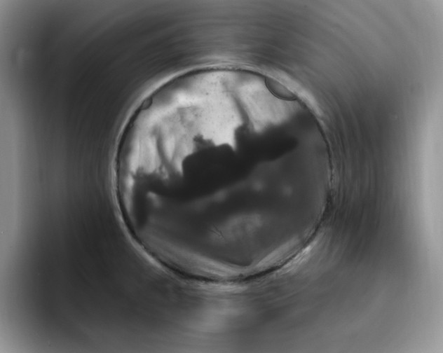 X0000091731239200709141219