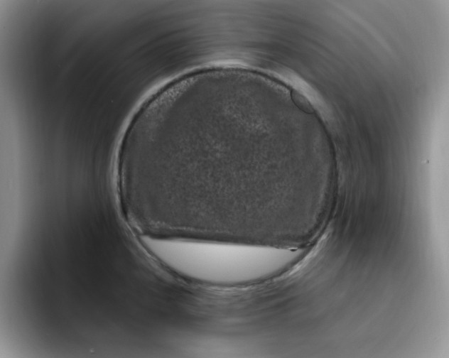 X0000091731240200709141219