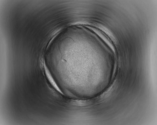 X0000091731241200709141219